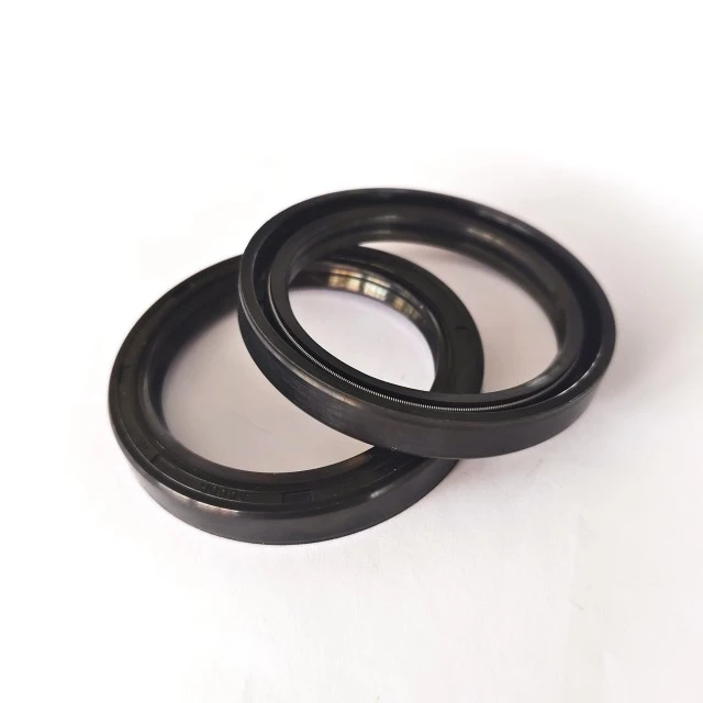 Oil Seal in Motor